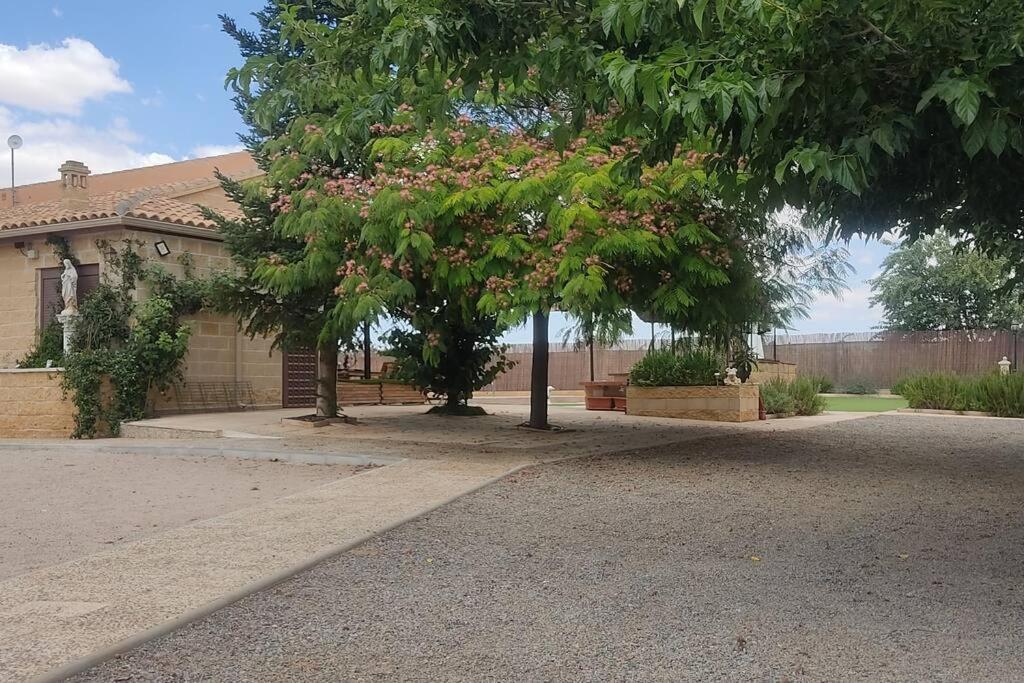Finca El Pilar Madridejos Buitenkant foto