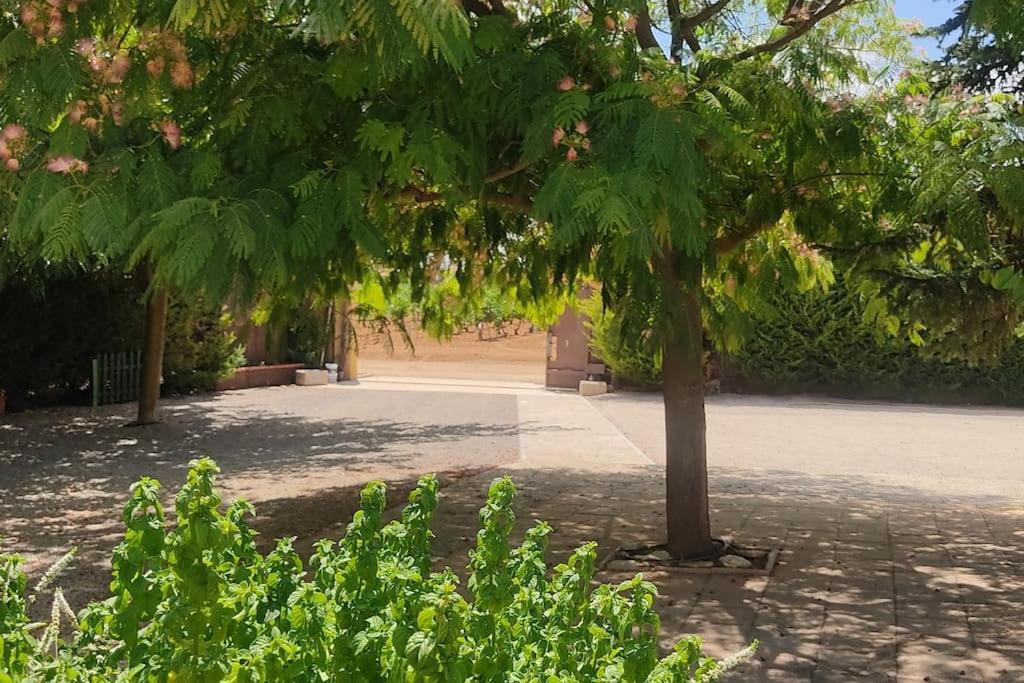 Finca El Pilar Madridejos Buitenkant foto
