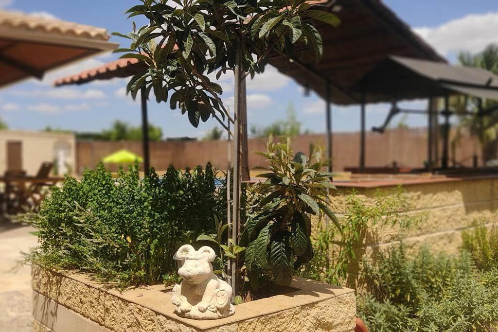 Finca El Pilar Madridejos Buitenkant foto